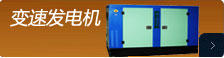 高速發(fā)電機